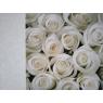 Флизелиновые цифровые фотообои Decofrost
